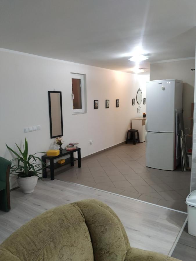 Ariana Apartman Kragujevac Buitenkant foto