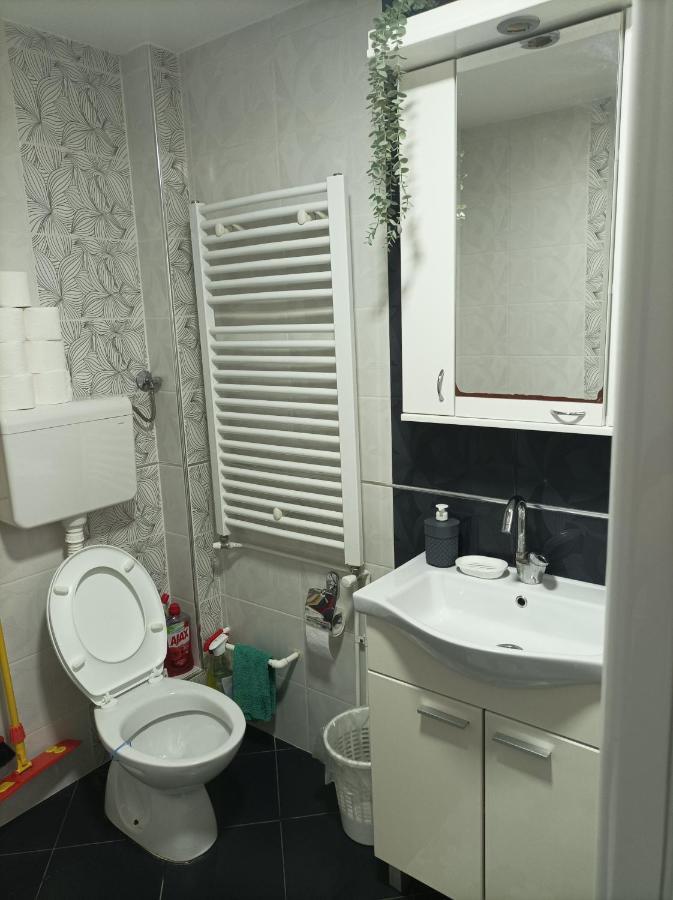 Ariana Apartman Kragujevac Buitenkant foto